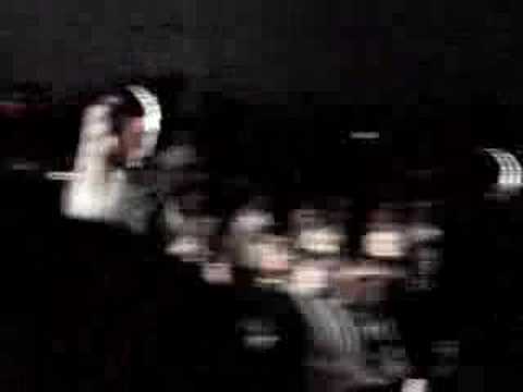 Roccobarocco - Fall 2008 Collection