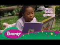Barney Reading Is FUN 10 MINUTES