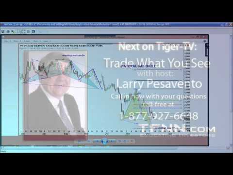 December 16th Trade What You See with Larry Pesavento on TFNN - 2015