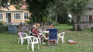 preview picture of video 'Plener Vedic Art na wyspie Oland 2010'