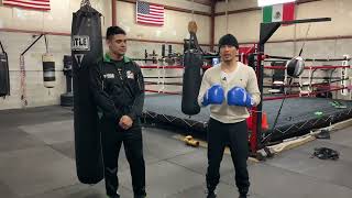 Business Side of PROFESSIONAL BOXING
