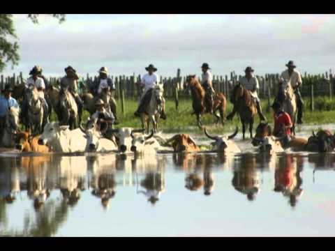 El Legitimo Llanero - Dumar Aljure