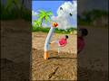 Creative Videography Photography Photo Shorts Shortvideo Funny Trending Videoediting