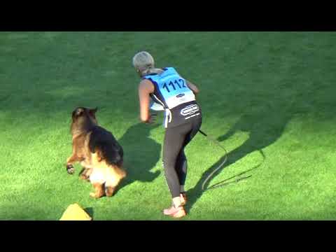 2021 SV BSZS TSB 1112 V8 Naldo von Vierhundert Hertz