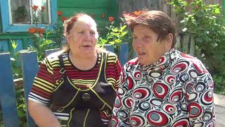 Ссылка