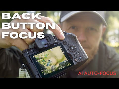 Ist die Fokussierung per Zurück-Taste relevant für den KI-Autofokus? | OM-1 BBF-Einrichtung