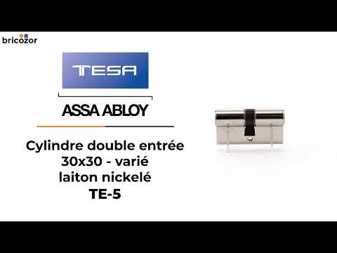 Cylindre double TE-5 varié - 5 goupilles - 3 clés TESA Sécurité