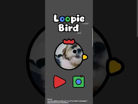 Loopie Bird