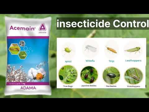 Insecticides