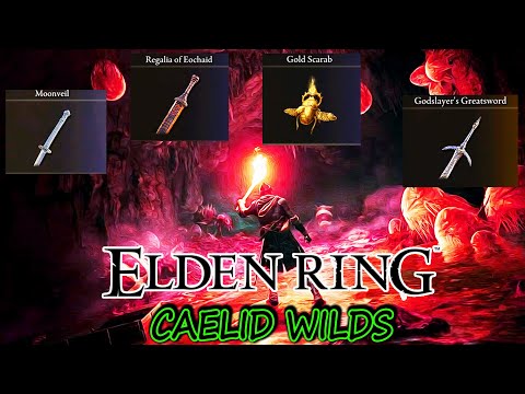 ELDEN RING: Beating All The Boss's in CAELID WILDS Part 1! bonus AMAZING items