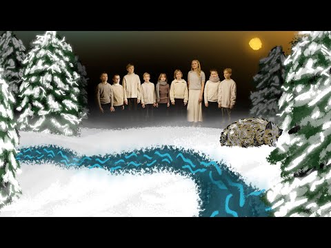 Galerijas bilde 1: Ziemassvētku noskaņu koncerts. Ielūdz Aleksandra Špicberga