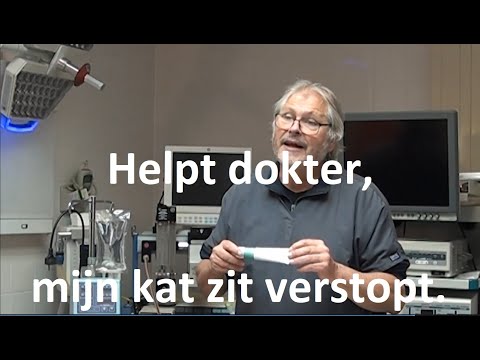 , title : 'Helpt dokter, mijn kat zit verstopt'