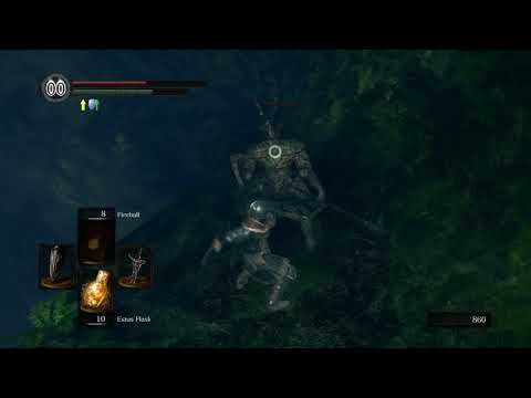 Dark Souls Remastered - Darkroot Basin: Halberd Black Knight Fight (Blue) Bonfire Location (2018)