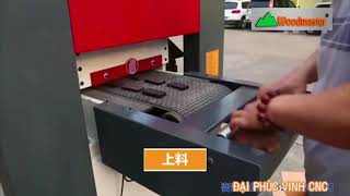 MÁY CHÀ NHÁM 2 MẶT PHÔI NGẮN NHẤT 90MM WM-400DS-RP