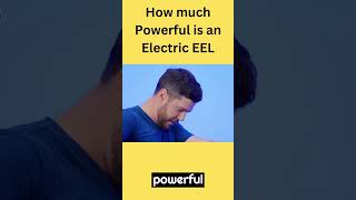 "The Power of Electric Eels: Stunning Facts About Their Electrical Abilities|#shorts #electriceel