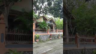 Download lagu Desaku seger banyak burung liar di pagi hari #desaku #pagi #burungliar #statuswa #shorts mp3 Download lagu Desaku seger banyak burung liar di pagi hari #desaku #pagi #burungliar #statuswa #shorts mp3