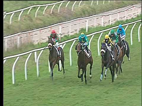 Galoppo 15/03/2018 - 5ª corsa