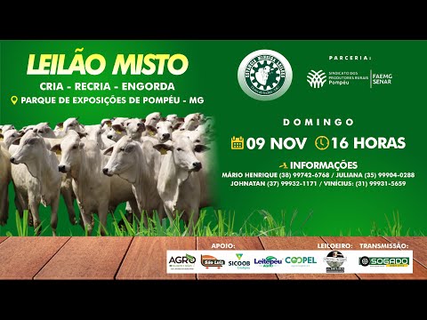 LEILÃO MISTO - ESTÂNCIA MINEIRA LEILÕES E SINDICATO DE POMPÉU/MG - 09/11/2025