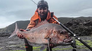 This Place Always Has Big Snapper | Fishing Overnighter