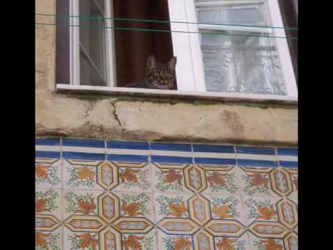 "NÃO PASSES À MADRAGOA" - Raul Pereira