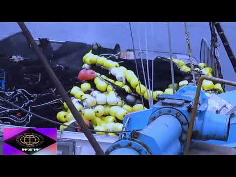 How to Fisherman Catch Hundreds Tons Salmon. Modern Fish Processing & Fishing Net Video