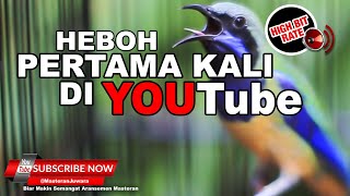 Download lagu #1 🔴 Memang Ini Yang Dicari Para Pemain❗️Masteran Cucak Cungkok Isian Terbaik mp3