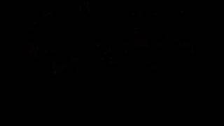 AFI - Malleus Maleficarum Lyrics