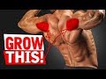 The BEST Exercises for REAR DELTS!!