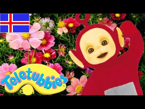 ☆ Stubbarnir á íslensku ☆ 1+ klukkustund Fullur þáttur samantekt ☆ Teiknimyndir fyrir börn ☆