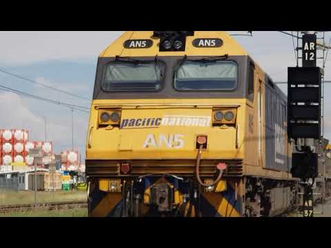 download lagu mp3 mp4 Acacia Pacific, download lagu Acacia Pacific gratis, unduh video klip Acacia Pacific