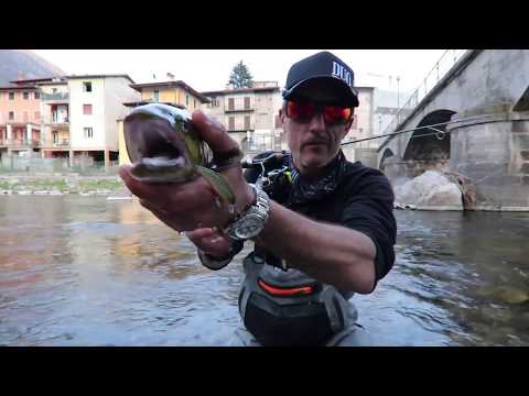 Duo spearhead ryuki trout master