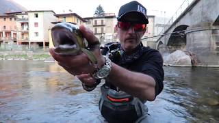 Duo spearhead ryuki trout master