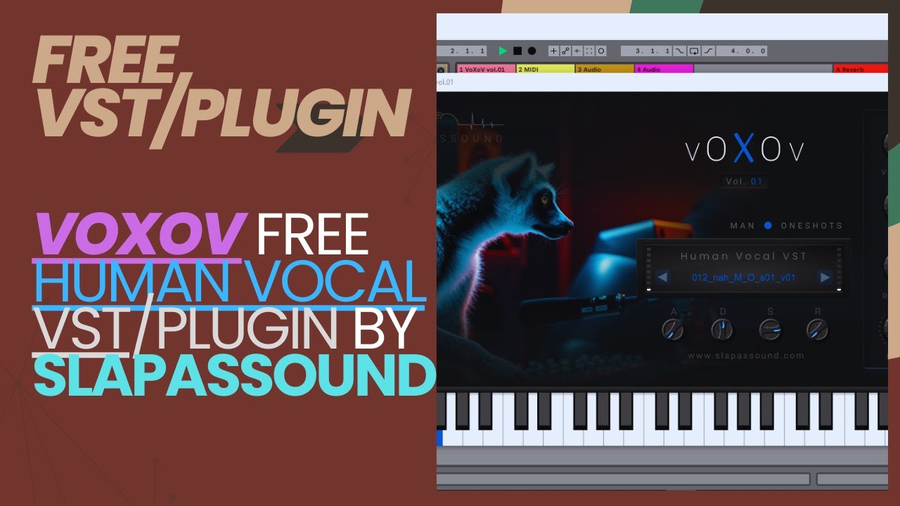 Video 2a11ca8a-3104-4c9b-b515-ad6ea45b6895