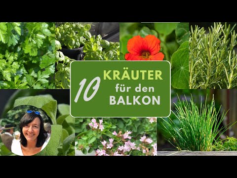, title : '10 Kräuter Klassiker für den Balkon - die beliebtesten Kräuter für Töpfe und Balkonkästen'