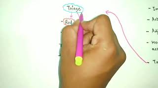 Mind Mapping Chart on Disaster Management Cycle.