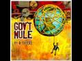 Gov't Mule - Broke Down on the Brazos 
