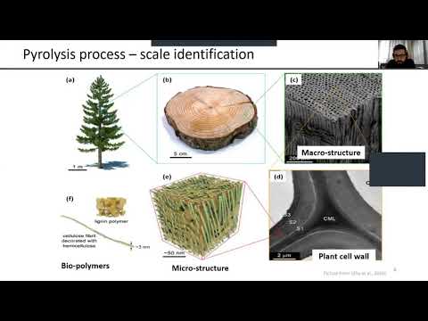 20. Green Carbon Webinar - The basics of CFD modeling of the pyrolysis of a single particle of wood