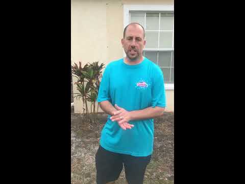 YouTube video about: How to protect plants from power washing?