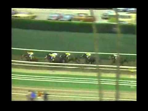 1987 Oak Leaf Stakes - Dream Team