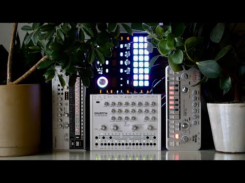 Snot Monkey - Acid 192 (TT-303, Drumatix, TR-06, Hydrasynth) (melodramatic acid ballad)