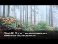 Benedikt Brydern - Tales of the Bavarian Woods, Mvt 1