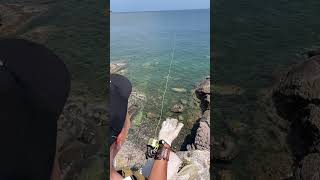 Download lagu New Slingshot Fishing Reel Set is ! Free for shipping on sale. homepage have store mp3