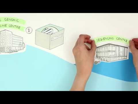 100,000 Genomes Project | Genomics England | Creative Connection