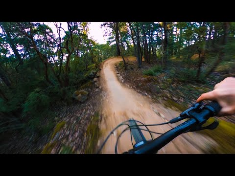 Ultimate Flow!! Wildcat Trail - Jordie Lunn Bike Park!
