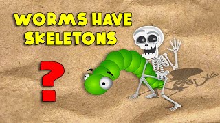 Do Worms Have Skeleton | Educational Videos For Kids