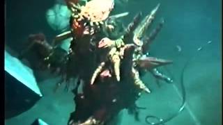 GWAR - Have You Seen Me?/Slap U Around/Black And Huge/Detroit Rock City (Buffalo, 06/02/1994)