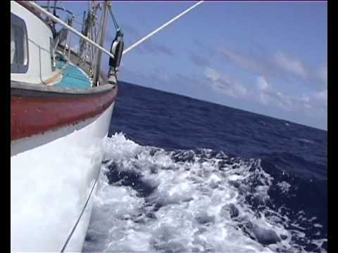 Twizzle Rig 4 downwind Trades sailing  -  5