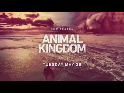 Animal Kingdom Season 3 (Promo 'Money')