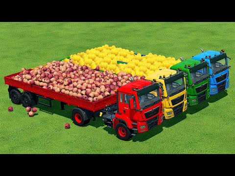 LOAD AND TRANSPORT APPLES & LEMONS WITH MCCORMICK AND STEYR TRACTORS - Farming Simulator 22