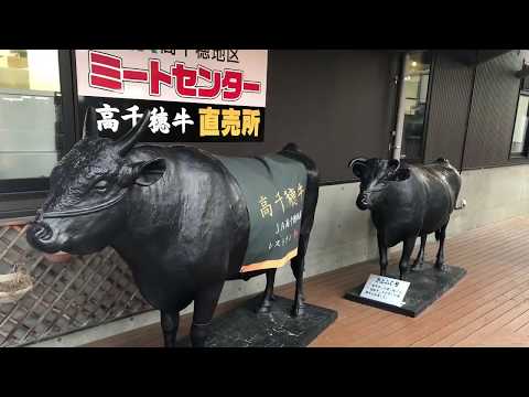 Back in Japan #7: Mystisches Japan  (Eine kleine Gute Nacht Geschichte)